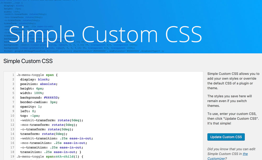 Simple Custom CSS Preview